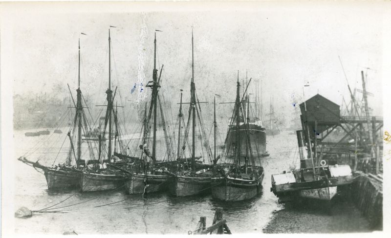  L to R GLORIANA, STARTLED FAWN, ALICE WATTS, ANTELOPE, HESPER in the Type. This picture is in The Big Barges P133, titled Colchester gasworks colliers on the Tyne. 
Cat1 Ships and Boats-->Merchant -->Sailing
