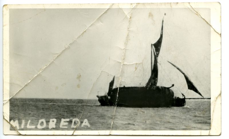  Barge MILDREDA. Photo from H E Smith Gt Wakering. 1920. Ron Green thinks this photo came from Bob Gosling, who was a barge skipper.

MILDREDA was built Ipswich 1900, Official No. 112722. 
Cat1 [Not Set] Cat2 Barges-->Pictures