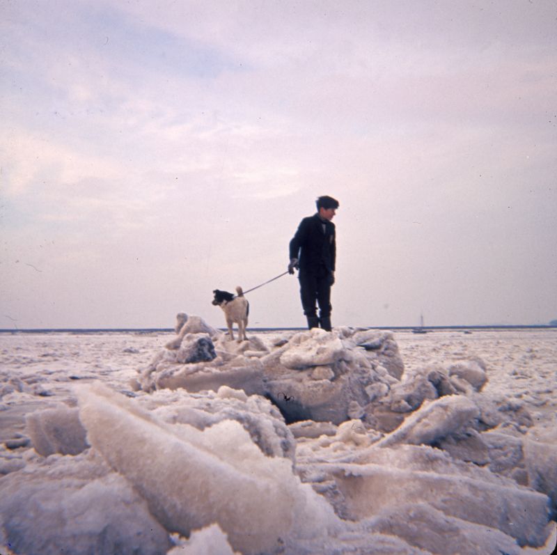  Steve Bisco, son of Bob and Cathy Bisco (Mark Dixon's school friend) with Pip the Dixon's dog, well known for being loose in the village and fighting.


The cold winter of 1962-63 when the river almost froze across to Bradwell. The ice here is piled up on the causeway. 
Cat1 Mersea-->Creeks, fleets, channels, saltings Cat2 Weather