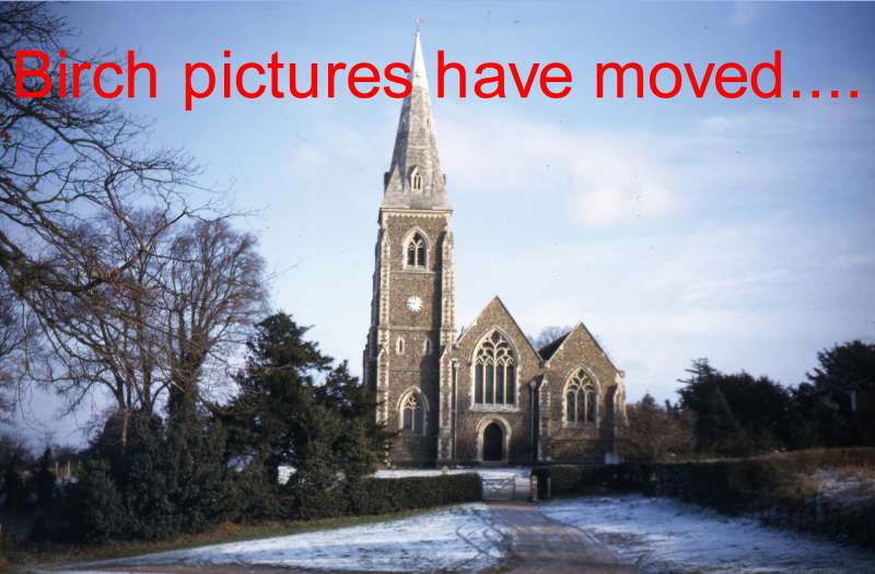  Birch pictures have moved.

There is now a major category under IMAGES on the menu.

We have also added over 400 images that came from the former 'Pictures of Birch' website. See  ...
Cat1 Places-->Birch