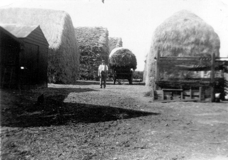  George Marriage stack yard 1930. Weir Farm ? 
Cat1 People-->Other Cat2 Farming Cat3 Families-->Lord / Marriage