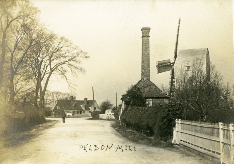 Peldon Mill looking towards the Rose