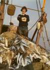 1620. ID REA_AB3_131 Chris Stopford. Herring.
Cat1 Fishing Cat2 People-->Fishermen and Seamen
