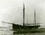 136. ID FL07_054_001 BLACK FOX, owned by Captain Barne, DSO, RN. He was a member of Scott's expedition to South Pole & lived in the Lane. 
Sidney Mussett's grandfather Tom Mole was ...
Cat1 Ships and Boats-->Merchant -->Sailing Cat2 Families-->Mussett Cat3 Families-->Mussett
