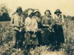 39. ID PBA_078_001 Pea picking, Beckingham Hall Farm, Birch, 1930s.
L-R 1. Mrs Charlie Everitt (Dot Everitt. Clarks Lane orig Layer de la Haye), 2. Ivy Adkins, 3. Mrs Borley, ...
Cat1 Farming Cat2 Birch-->People