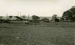 142. ID ALW_015 Wellhouse Farm in the Summer of 1944.
Cat1 Farming