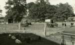 144. ID ALW_021 Wellhouse Farm in the Summer of 1944.
Cat1 Farming
