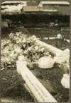 26. ID DB01_012_005 Grave of Leonard William Stoker. Died 9 November 1926.
Stoker / Brown family pictures - Album 1
Cat1 Families-->Stoker / Brown