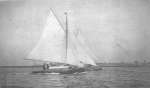26. ID RG27_149 CHARIS 1922. Owner W J Dyer of Graunt Court Rayne. Winner of DSC Cup. Crew Bert French and Mrs Dyer, helmed Mr Dyer. Other craft is RANEE owned by Mr ...
Cat1 Yachts and yachting-->Sail-->Larger Cat2 Dabchicks