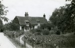 20. ID IA003724 Cottage in Salcott where Nancy Cullum and her mother lived. Date not known but probably c1941. Pansies are growing in front of the cottage. See Farming ...
Cat1 Places-->Salcott & Virley
