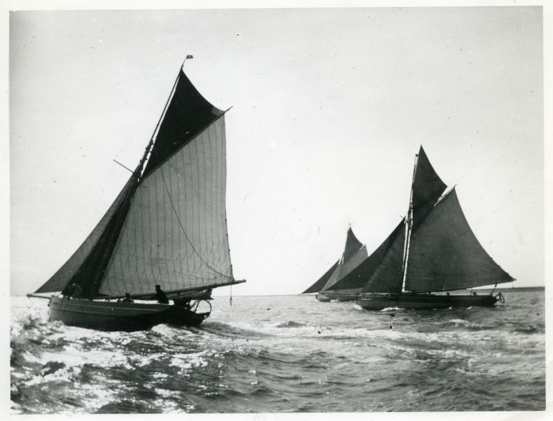 ID BF70_001_031_001 Smacks racing in the regatta 1904. The ELISE (Capt. Green) and the MARIA (J. ...