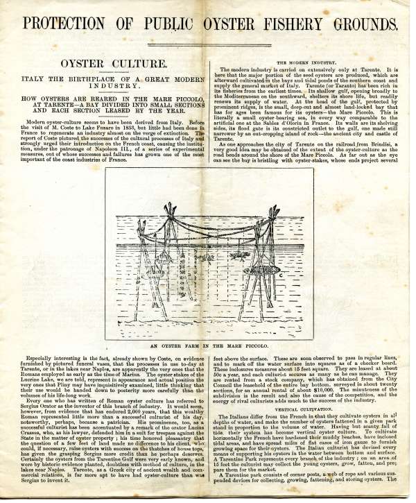 Blackwater Culch War of 1894 - press articles. Page 1. Oyster culture in Italy. 
Cat1 Oysters-->Documents and Papers