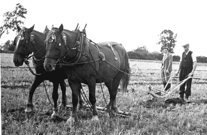 Ploughing Match