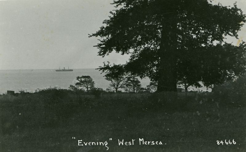  Evening, West Mersea. Cargo ship in the Blackwater. Postcard 84666. 
Cat1 Mersea-->Views Cat2 Blackwater-->Laid up ships Cat3 Ships and Boats-->Merchant -->Power