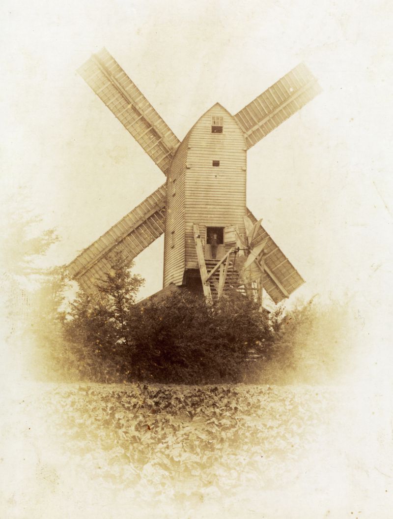  Peldon windmill was was on the main road almost opposite the Peldon Rose. The windmill had double shuttered anti-clockwise Patent sails driving three pairs of 4 foot burr stones. We do not have details of the steam mill. 

The windmill was demolished in 1906. We do not know when the steam mill was demolished. [Alan Smith]

The Mill House is still there. 
Cat1 Places-->Peldon Cat2 Mersea-->Buildings