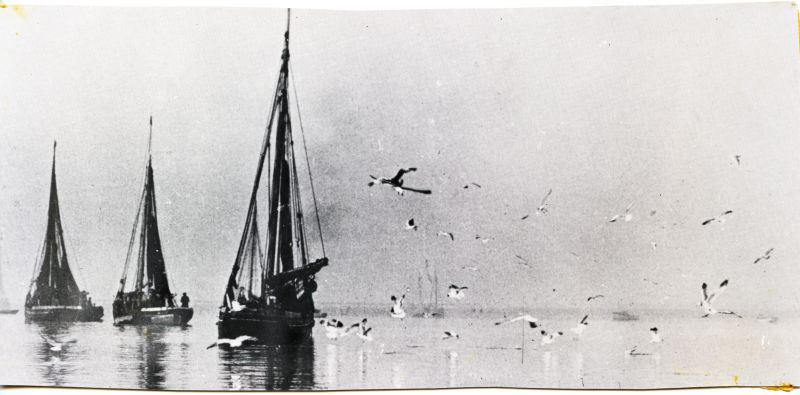  The gulls wheel over the loaded smacks in Brightlingsea Creek on a misty winter's morning. A scene from the 1920s before the time of auxiliary engines, for the smacks still have their gaff mainsails.

Photo by Douglas Went

Used in The Stowboaters page 6 
Cat1 [Not Set] Cat2 Smacks and Bawleys Cat3 Places-->Brightlingsea