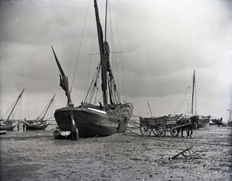  Sailing barge CLIFF loading hay on Mersea Hard. Registered Ipswich and built Ipswich 1858, probably by Bayley. Main owner J Cobbold Ipswich. Official No. 20532

1901 Managing Owner Joseph Rawlinson, Forest Gate.

18 Nov 1907 sold to James Edwards, contractor of West Mersea.

3 April 1911 foundered.

A picture from one of the slide shows run in Mersea Museum during opening ...
Cat1 [Not Set] Cat2 Mersea-->Old City & the Hard Cat3 [Display on front screen] Cat4 Barges-->Pictures