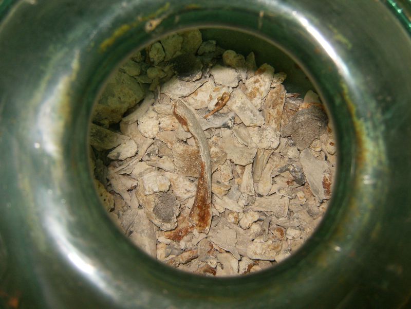  Bones from Mersea Barrow, inside their Roman cremation urn. 
Cat1 Mersea-->Barrow-->Pictures