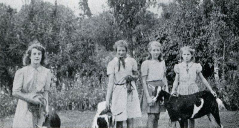  Some Members of the Young Farmers Club : 1946. From Birch School 1847-1947.

School garden in background.

L-R 1. Margaret Cresswell, 2. Stella Woods, 3. Janey NYLOR, 4. Jean Fisher. 
Cat1 Birch-->School