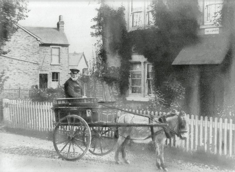 Click to Slide Show


 Photo taken in Mell Road about 1890.


Captain Billy Redgewell owned smack Kingfisher CK 7.


The house Caprice was later named Mount House and demolished years ago to make way for 2 new houses. 
Cat1 Tollesbury-->Road Scenes Cat2 Transport - buses and carriers Cat3 Tollesbury-->People