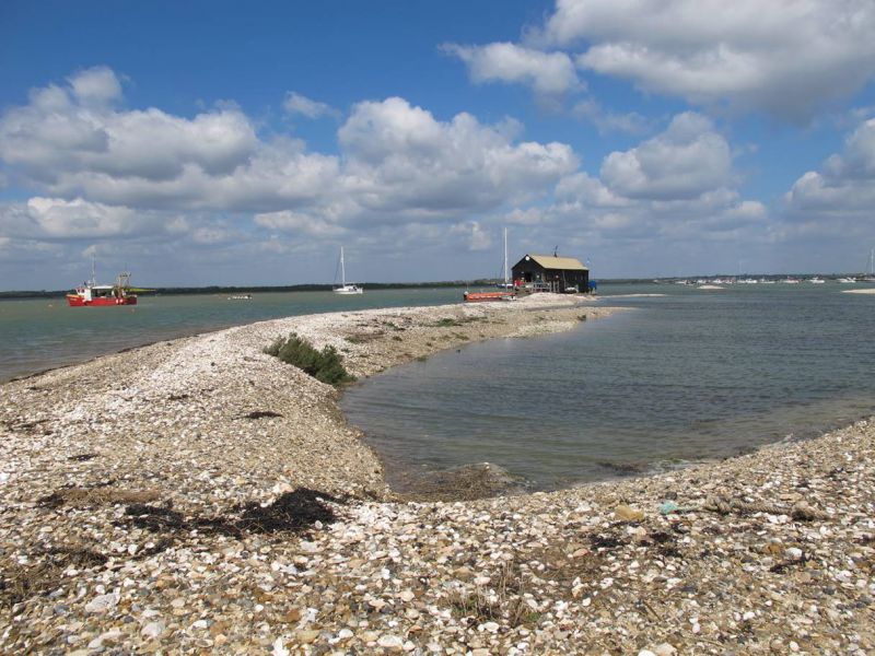  High tide, Packing Marsh Island in early 2014. Packing Shed in the distance. The winter gales have caused further erosion on the island. 
Cat1 Mersea-->Packing Shed Cat2 [Display on front screen]