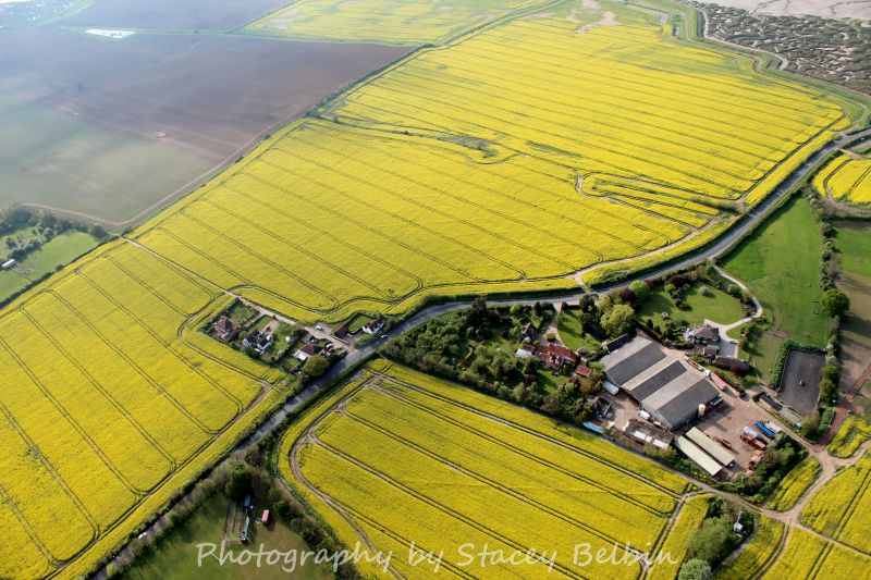  Wellhouse Farm.

Part of a collection of aerial views of Mersea taken by Stacey Belbin. If you are interested in purchasing any of these photographs, please contact Stacey at ladygraceboat.trips @ gmail.com 
Cat1 Mersea-->Aerial views-->Stacey Belbin Cat2 Farming