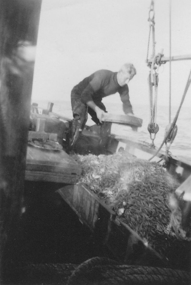  Spratting - a photograph from Tollesbury, but no further information. 
Cat1 Fishing Cat2 Smacks and Bawleys