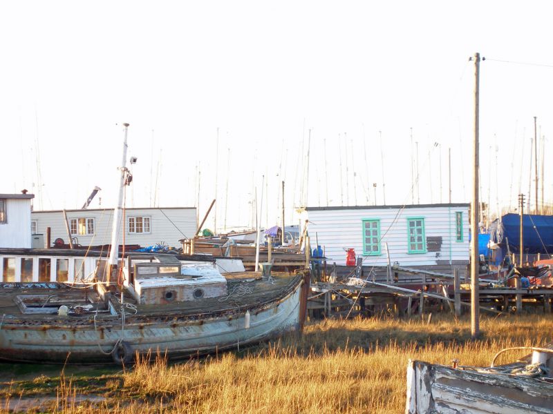  Houseboats at West Mersea. SCEPTRE is prominent on the left. Victory Hotel distant centre. 
Cat1 Mersea-->Houseboats