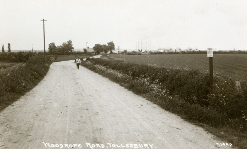 Woodrope Road, Tollesbury. Postcard 71492. 
Cat1 Tollesbury-->Road Scenes
