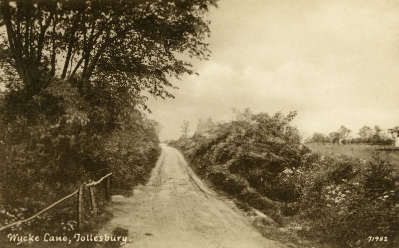  Wycke Lane, Tollesbury. Postcard 71482. 
Cat1 Tollesbury-->Road Scenes