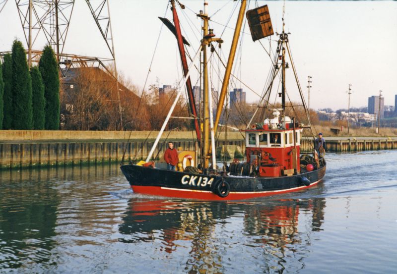  Landing sprats at Colchester Hythe. CK134 DIANA. 
Cat1 Fishing Cat2 Places-->Colchester-->Hythe Cat3 Ships and Boats-->Fishing