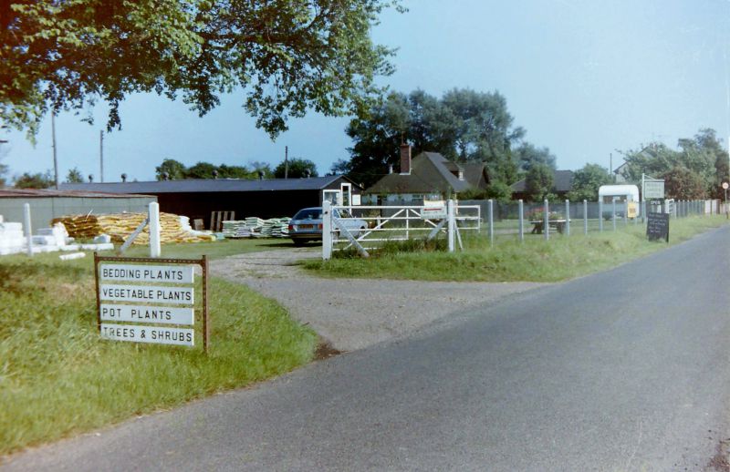  Mersea Garden Centre on the east side of Dawes Lane as you approach East Road. The Garden Centre was run by Anne and Les Watson 1978 to 1982. 
Cat1 Mersea-->Shops & Businesses