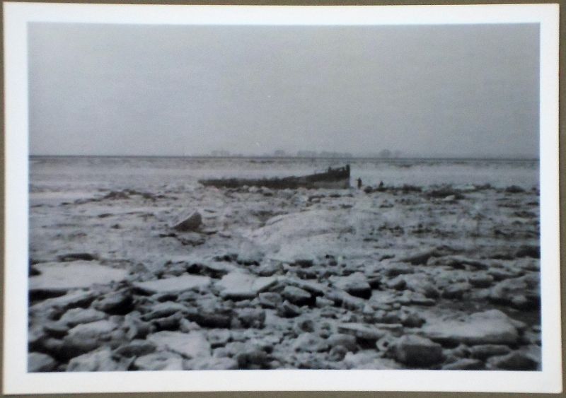  View from Dabchicks looking towards Ray Island with old wreck [ PIONEER ] in foreground in the hard winter of 1962-63. 
Cat1 Weather Cat2 Smacks and Bawleys Cat3 Mersea-->Creeks, fleets, channels, saltings
