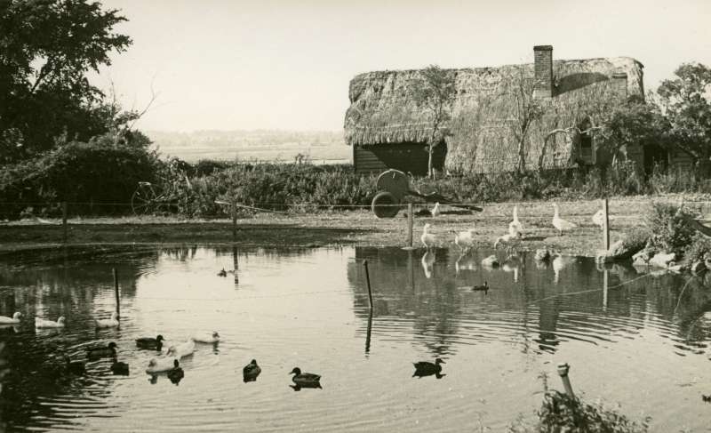 Click to Pause Slide Show


 Wellhouse Farm in the Summer of 1944, looking across the pond to Wellhouse Cottage and the Strood beyond. 
Cat1 Farming