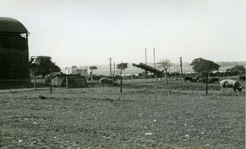  Wellhouse Farm in the Summer of 1944, looking north to the Strood. 
Cat1 Farming