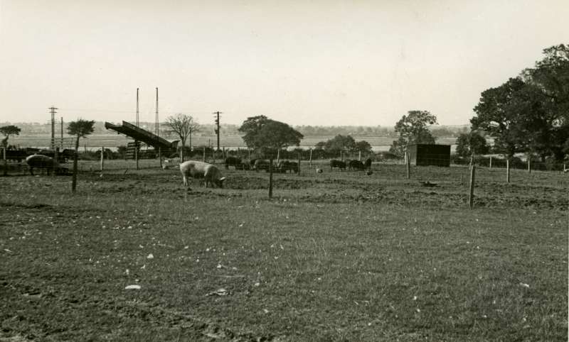 ID ALW_015 Wellhouse Farm in the Summer of 1944.