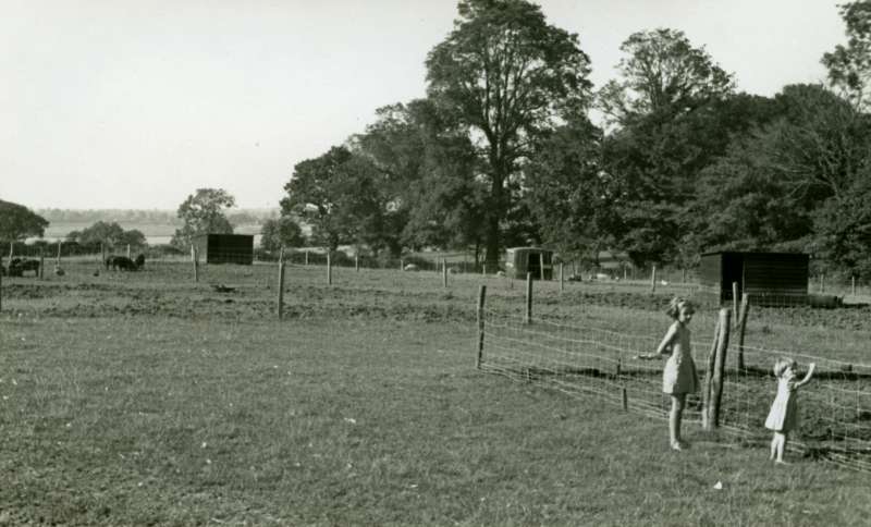  Wellhouse Farm in the Summer of 1944. The girls are Patricia and Jaqueline Wright, daughters of Rosamund and Orson Wright who owned Wellhouse. 
Cat1 Farming