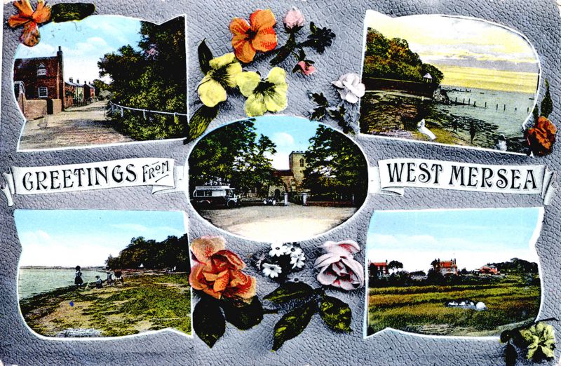  Greetings from West Mersea 
Cat1 Mersea-->Views