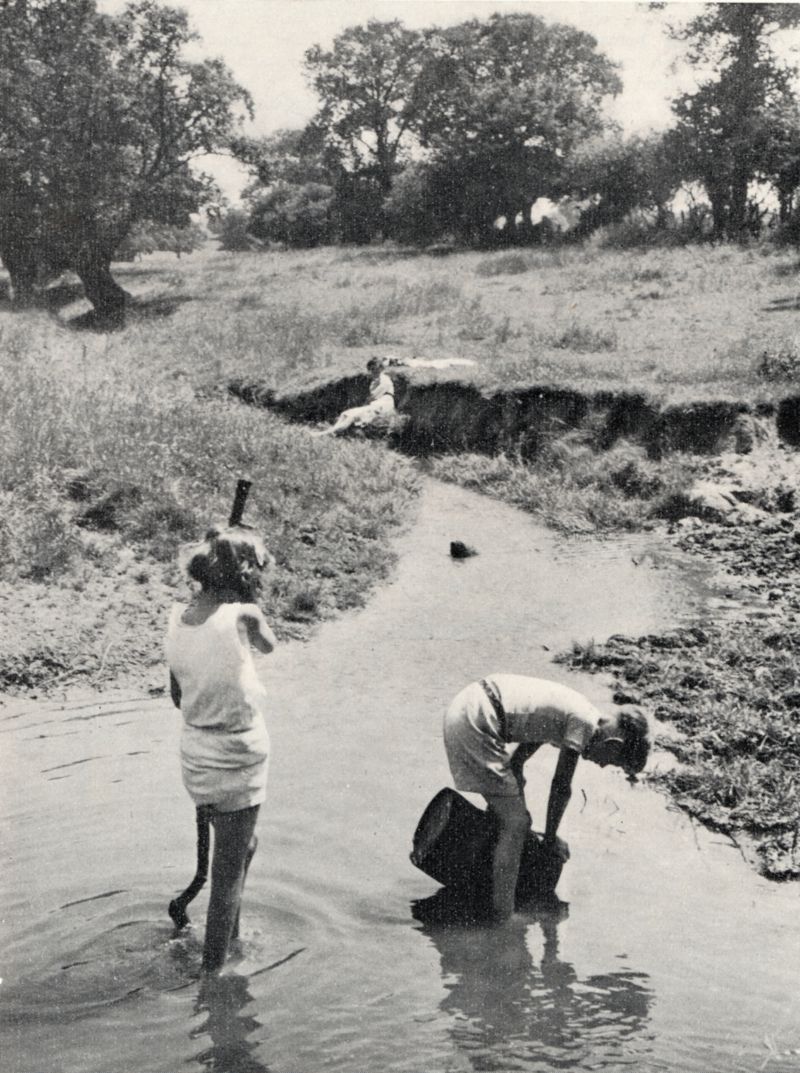  Summer idyll: while the mother rests by the brook's bank, the children enjoy a game and paddle in the flowing brook at Great Bentley.

Essex Countryside competition entry from Douglas Went, Summer 1956. 
Cat1 Miscellaneous