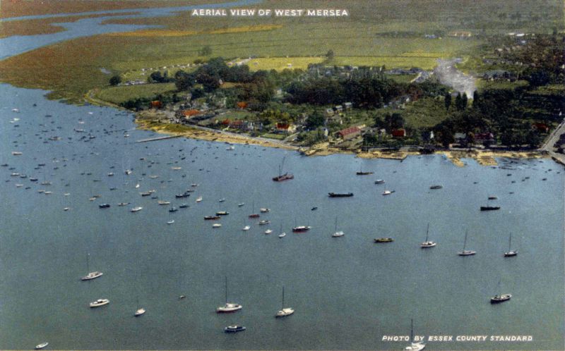  Aerial view of West Mersea. The Hard and Coast Road. Postcard postmarked 1960. Essex County Standard photograph. 
Cat1 Mersea-->Coast Road Cat2 Mersea-->Old City & the Hard Cat3 Aerial Views-->Mersea