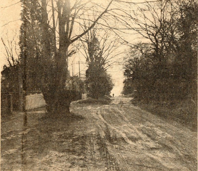  Fairhaven Avenue was intended as the line of the Railway. 
Cat1 Mersea-->Road Scenes