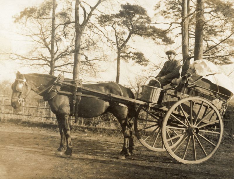 Click to Slide Show


 Smith family baker's delivery cart. Herbert Marrow ? 
Cat1 Mersea-->Shops & Businesses Cat2 Transport - buses and carriers