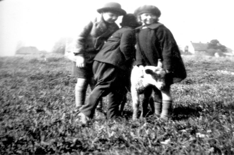  Geof, Harold & Raymond D'Wit with his sheep. Top Firs Chase c1935 
Cat1 Families-->Mole