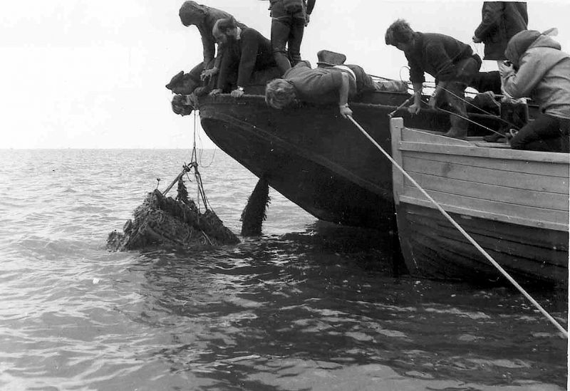  Salvaging an engine from a Typhoon which came down in the Blackwater during WW2. 
Cat1 War-->World War 2