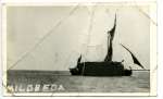 45. ID BF21_001_051_001 Barge MILDREDA. Photo from H E Smith Gt Wakering. 1920. Ron Green thinks this photo came from Bob Gosling, who was a barge skipper.
MILDREDA was built ...
Cat1 [Not Set] Cat2 Barges-->Pictures