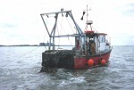 57. ID DIS2011_OYS_052 A modern oyster dredger.
Cat1 Museum-->DisplayPhotos Cat2 Oysters-->Pictures