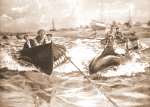 9. ID BJ01_035 Header: An actual scene in Mersea Creek: Driving porpoises. Drawn by C.Fleming Williams.Footer: Stranded porpoises harnessed to boats and made to tow them up ...
Cat1 Museum-->Images