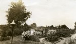 117. ID LH11_101 West Mersea School garden. Probably looking NorthEast with pair of houses in Kingsland Road. If so it would be before Phil Underwoods house was built in the ...
Cat1 Mersea-->Schools-->Pictures