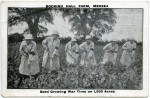 123. ID JAY_SDG_005 Mersea Seed Growers during WW1. Bocking Hall Farm, Seed Growing War Time on 1,500 Acres.
From E.W. King, Seed growers, Coggeshall. See  ...
Cat1 Farming Cat2 War-->World War 1