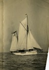 1. ID DWS_001 BLUE BIRD, rigged as Yawl. Yachts with Tollesbury men on board. Photo from R. Ashton, London S.W.
Cat1 Yachts and yachting-->Sail-->Larger